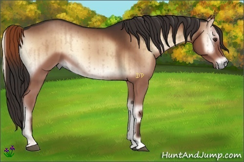 Horse Color:Liver Red Onyx Brindle 