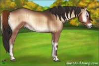 Horse Color:Liver Red Onyx Brindle