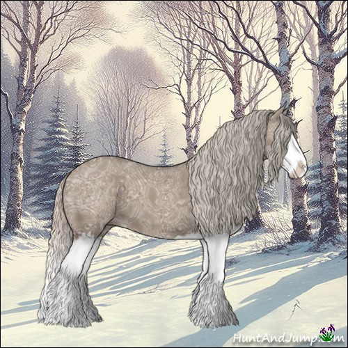 Horse Color:Silver Grullo Ice Splash 