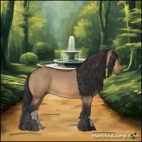 Horse Color:Bay Dun Rabicano 