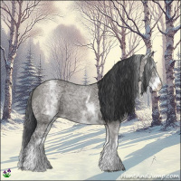 Horse Color:White Spotted Grullo Ice 