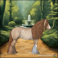 Horse Color:Red Dun Rabicano 