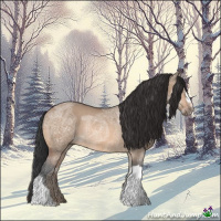 Horse Color:Bay Ice Dun Rabicano 