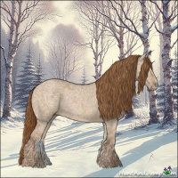 Horse Color:Red Dun Ice 