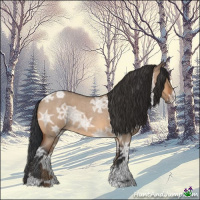 Horse Color:Bay Ice Roan Dun 