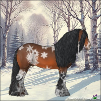 Horse Color:Bay Ice 