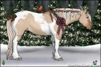 Horse Color:Silver Brown Dun Sabino Tobiano Varnish Rabicano 