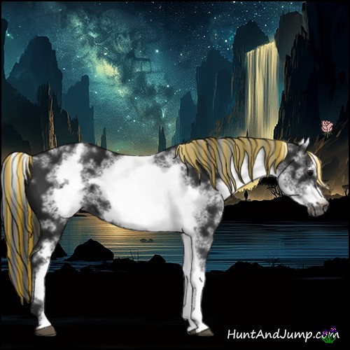 Horse Color:Gray Painted White Spotted Black Frame 