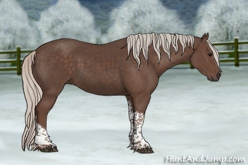 Horse Color:Silver Black Tobiano