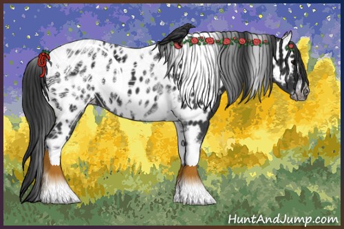 Horse Color:White Spotted Black Splash Tobiano Frame Near Leopard
