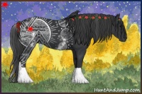 Horse Color:White Spotted Black