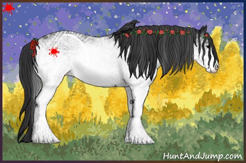 Horse Color:White Spotted Black