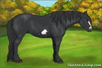 Horse Color:Black Frame 