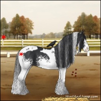 Horse Color:White Spotted Black Splash Tobiano