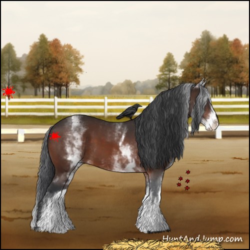 Horse Color:White Spotted Brown 