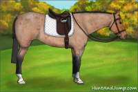 Horse Color:Bay Roan Rabicano