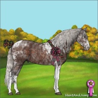 Horse Color:Silver Brown Tobiano 