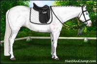 Horse Color:White Spotted Silver Black Splash 