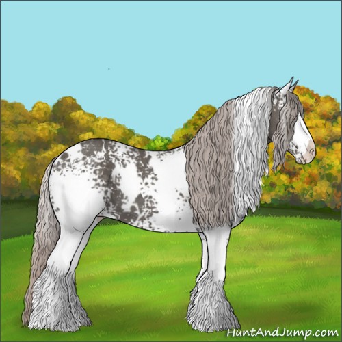 Horse Color:White Spotted Silver Black 