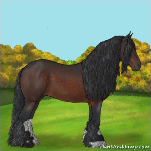 Horse Color:Brown 