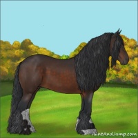Horse Color:Brown 