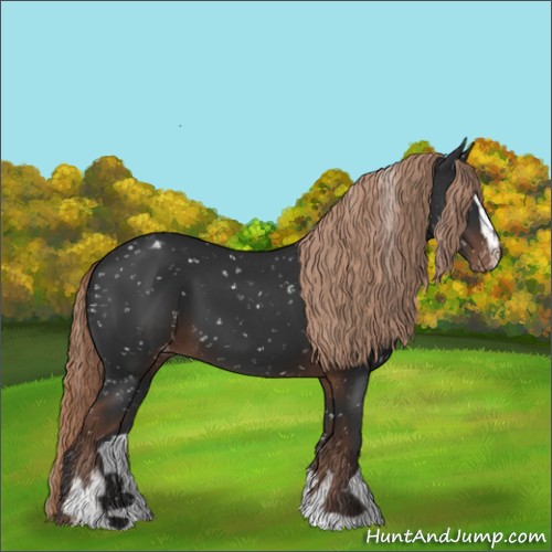 Horse Color:Liver Chestnut Sabino Appaloosa 