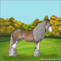 Horse Color:Silver Black Sabino 