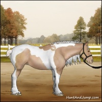 Horse Color:Silver Black Pearl Sabino Tobiano 