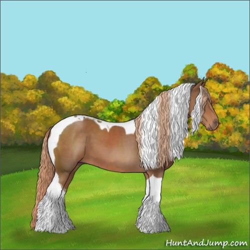 Horse Color:Chestnut Sabino Tobiano 