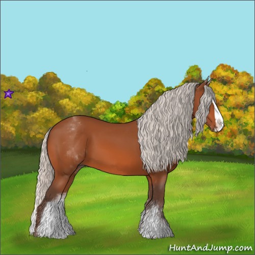 Horse Color:White Spotted Silver Bay Splash