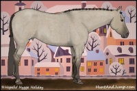 Horse Color:Smoky Grullo Roan 