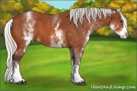 Horse Color:White Spotted Silver Bay Splash
