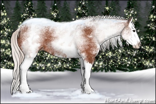 Horse Color:White Spotted Silver Bay Splash
