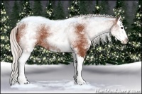Horse Color:White Spotted Silver Bay Splash