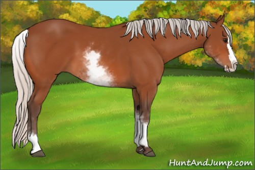 Horse Color:White Spotted Silver Bay Splash 