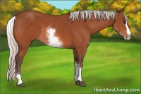 Horse Color:White Spotted Silver Bay Splash 