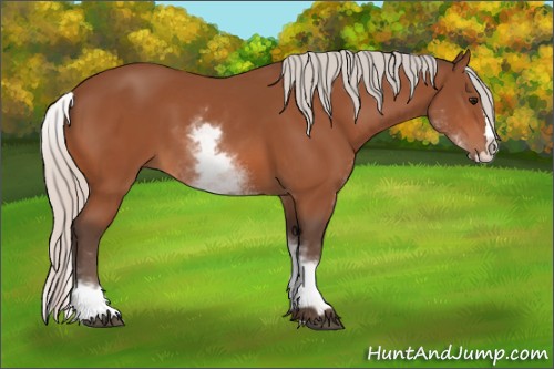 Horse Color:White Spotted Silver Bay Splash 