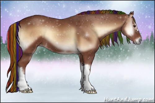 Horse Color:ERROR: UNKNOWN ANOMALY