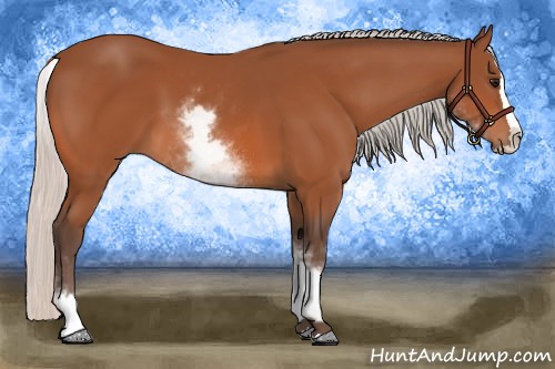 Horse Color:White Spotted Silver Bay Splash 