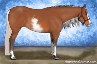 Horse Color:White Spotted Silver Bay Splash