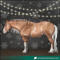 Horse Color:Liver Red Onyx Tobiano  and Silver Sable Champagne Splash Tobiano 