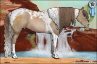 Horse Color:Black Pearl Tobiano 