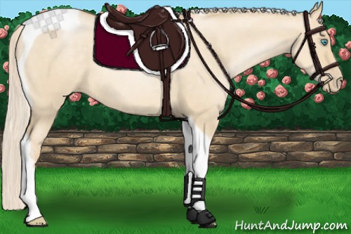 Horse Color:Palomino Pearl Dun Tobiano 