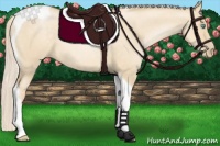 Horse Color:Palomino Pearl Dun Tobiano 
