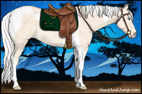 Horse Color:Cremello Tobiano Rabicano