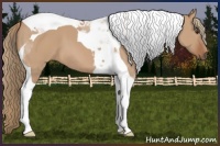 Horse Color:Red Dun Tobiano