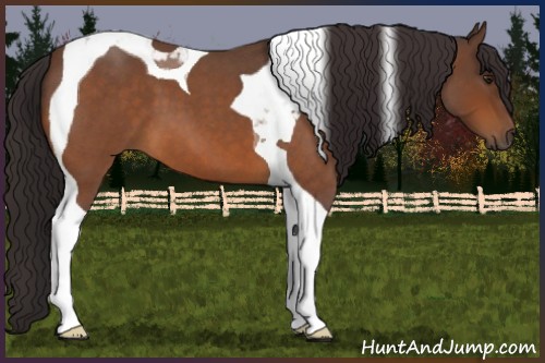Horse Color:Buckskin Roan Tobiano 