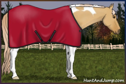 Horse Color:Palomino Dun Tobiano 