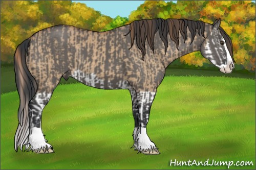 Horse Color:Red Dun Splash and Grullo Splash