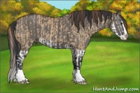 Horse Color:Red Dun Splash and Grullo Splash